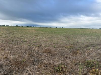 County Road 406 details