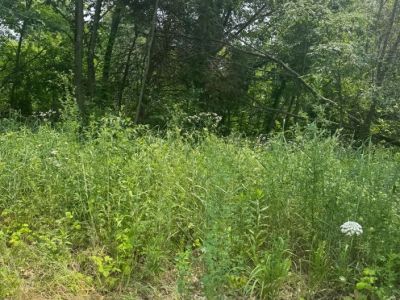 N Hickory Street details