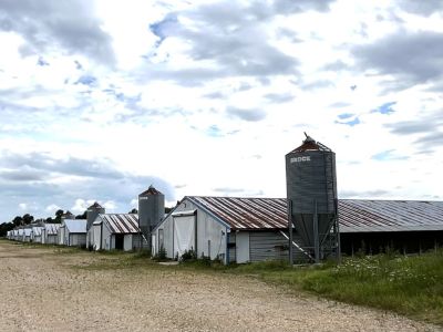 7424 County Road 420 details