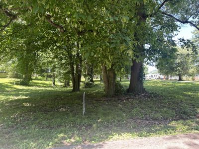 Lewis & Albert St details