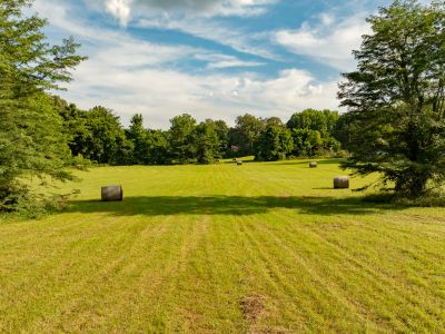 14038 County Road 405 details