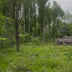 Lots 5-10 Tamarak Lane details